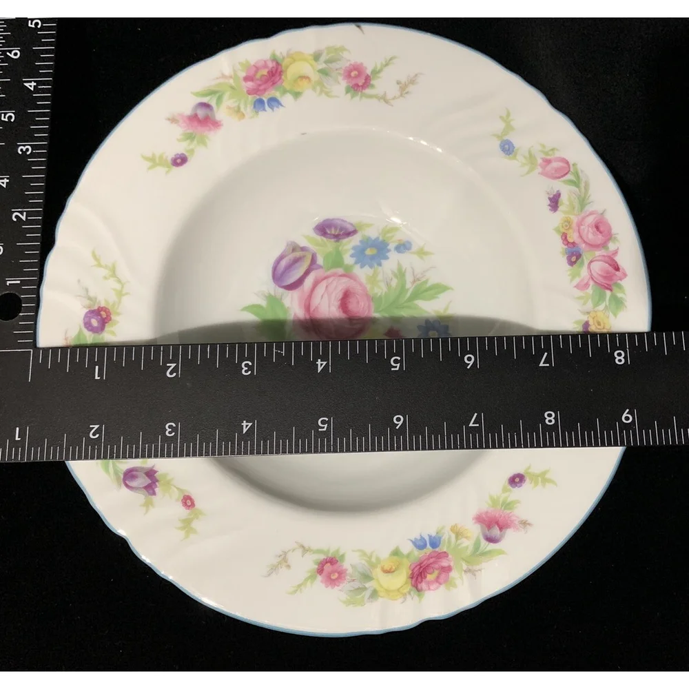 Johann Haviland Bavaria Germany Rim Soup Bowl‎ JOH22 No 18-HAV Excellent